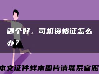 哪个好，司机资格证怎么办？缩略图