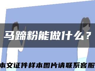 马蹄粉能做什么？缩略图