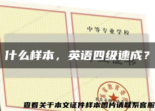 什么样本，英语四级速成？缩略图