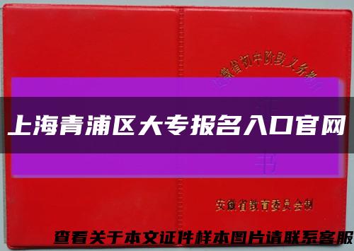 上海青浦区大专报名入口官网缩略图