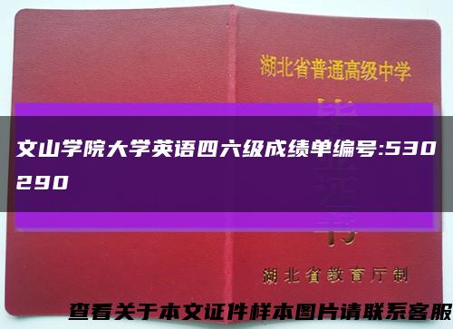 文山学院大学英语四六级成绩单编号:530290缩略图