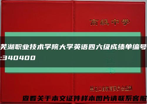 芜湖职业技术学院大学英语四六级成绩单编号:340400缩略图