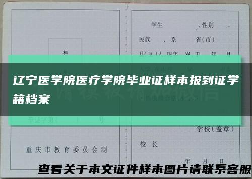 辽宁医学院医疗学院毕业证样本报到证学籍档案缩略图