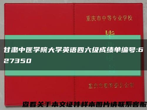 甘肃中医学院大学英语四六级成绩单编号:627350缩略图