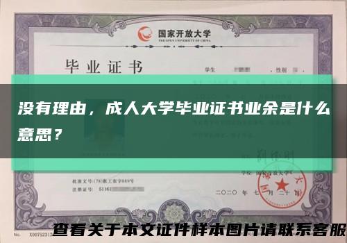 没有理由，成人大学毕业证书业余是什么意思？缩略图