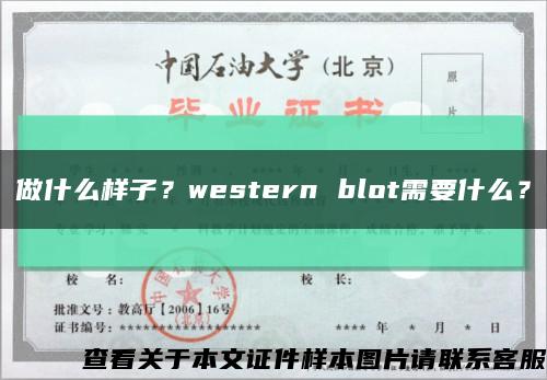 做什么样子？western blot需要什么？缩略图