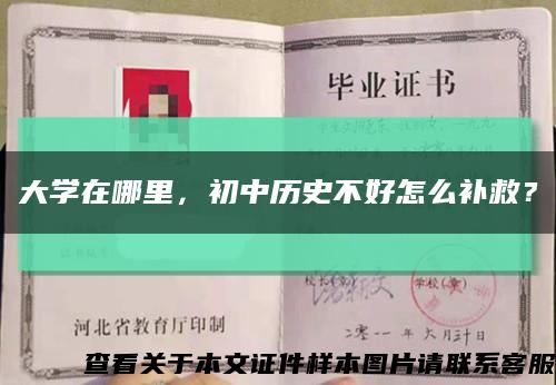 大学在哪里，初中历史不好怎么补救？缩略图