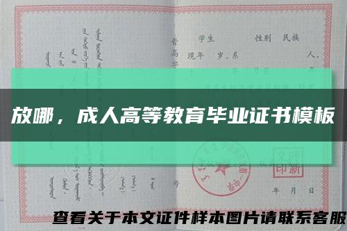 放哪，成人高等教育毕业证书模板缩略图