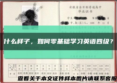 什么样子，如何零基础学习英语四级？缩略图