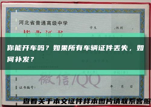 你能开车吗？如果所有车辆证件丢失，如何补发？缩略图