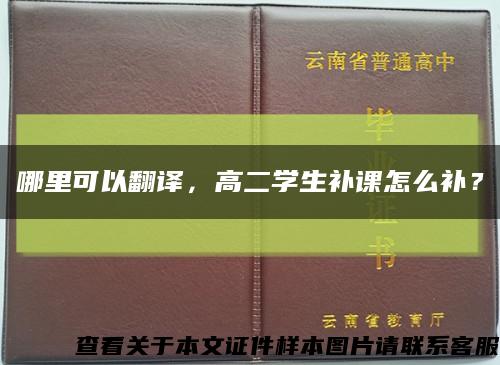 哪里可以翻译，高二学生补课怎么补？缩略图