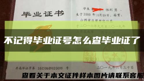 不记得毕业证号怎么查毕业证了缩略图