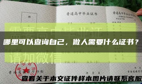 哪里可以查询自己，做人需要什么证书？缩略图