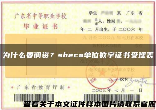 为什么要调资？sheca单位数字证书受理表缩略图