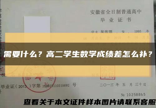 需要什么？高二学生数学成绩差怎么补？缩略图