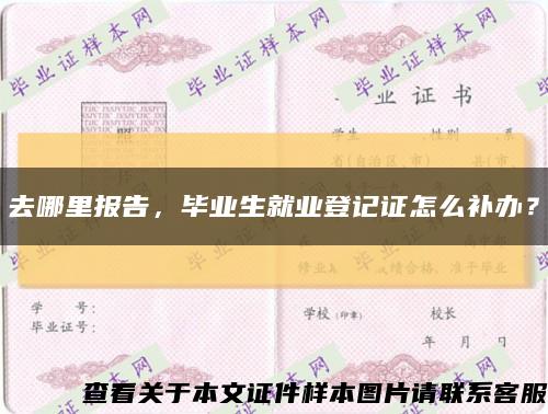 去哪里报告，毕业生就业登记证怎么补办？缩略图