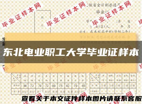 东北电业职工大学毕业证样本缩略图