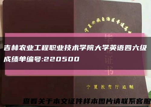 吉林农业工程职业技术学院大学英语四六级成绩单编号:220500缩略图