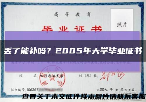 丢了能补吗？2005年大学毕业证书缩略图