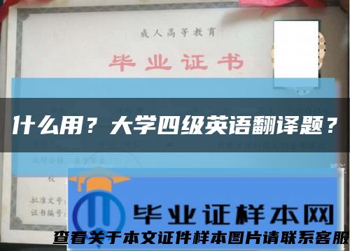 什么用？大学四级英语翻译题？缩略图