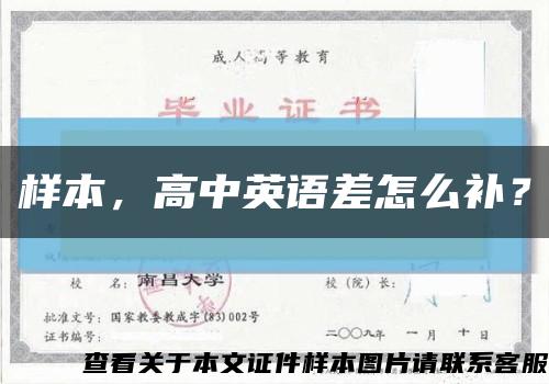 样本，高中英语差怎么补？缩略图