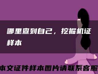 哪里查到自己，挖掘机证样本缩略图