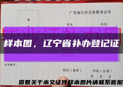 样本图，辽宁省补办登记证缩略图