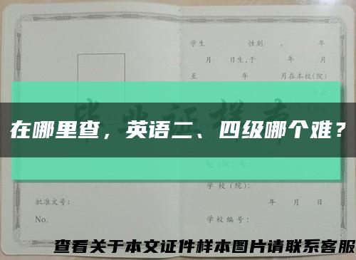 在哪里查，英语二、四级哪个难？缩略图