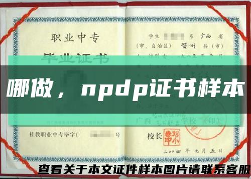 哪做，npdp证书样本缩略图