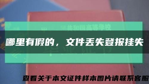 哪里有假的，文件丢失登报挂失缩略图