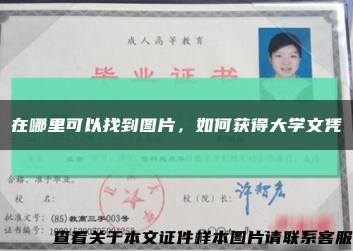 在哪里可以找到图片，如何获得大学文凭缩略图