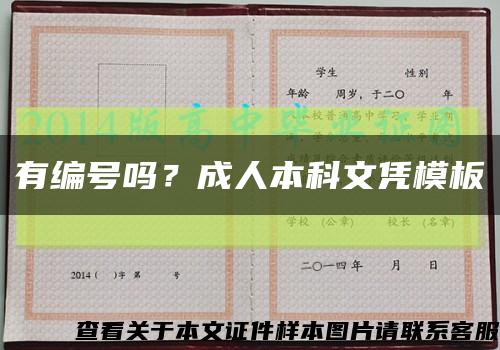 有编号吗？成人本科文凭模板缩略图