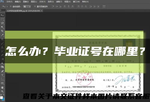 怎么办？毕业证号在哪里？缩略图