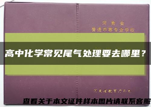 高中化学常见尾气处理要去哪里？缩略图