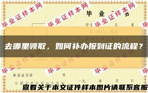 去哪里领取，如何补办报到证的流程？缩略图