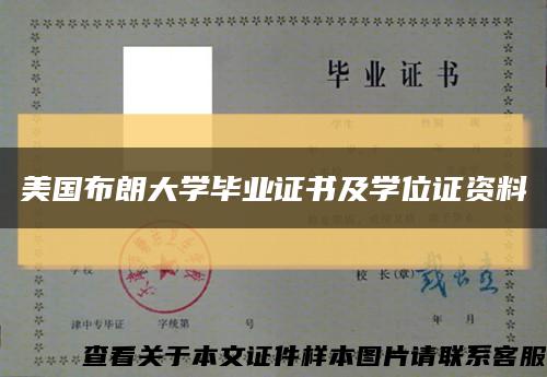 美国布朗大学毕业证书及学位证资料缩略图