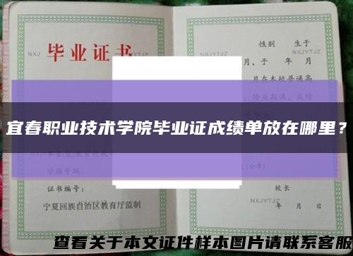 宜春职业技术学院毕业证成绩单放在哪里？缩略图