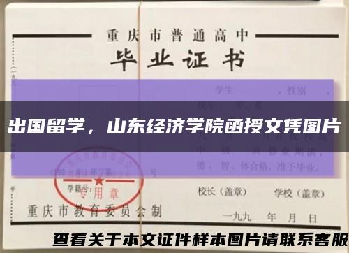 出国留学，山东经济学院函授文凭图片缩略图