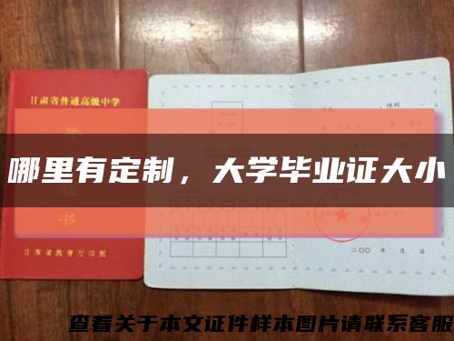 哪里有定制，大学毕业证大小缩略图