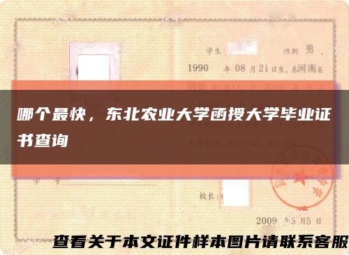 哪个最快，东北农业大学函授大学毕业证书查询缩略图