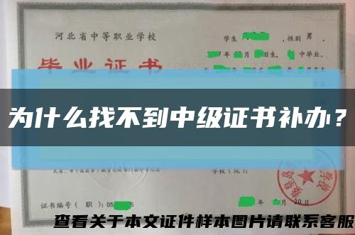 为什么找不到中级证书补办？缩略图