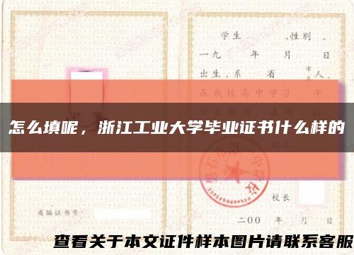 怎么填呢，浙江工业大学毕业证书什么样的缩略图