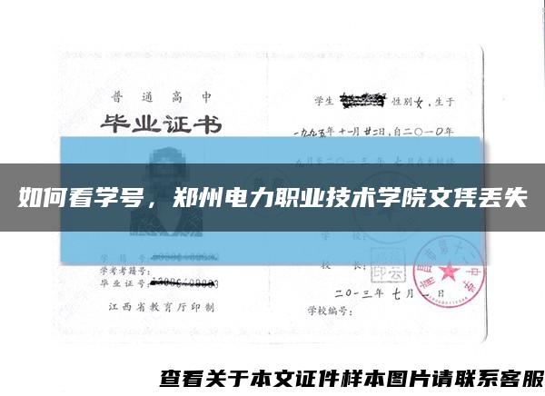 如何看学号，郑州电力职业技术学院文凭丢失缩略图