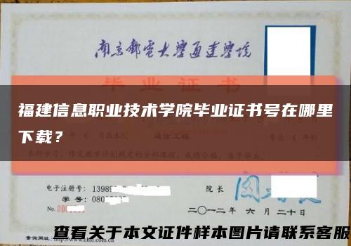 福建信息职业技术学院毕业证书号在哪里下载？缩略图