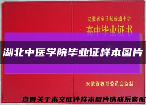 湖北中医学院毕业证样本图片缩略图