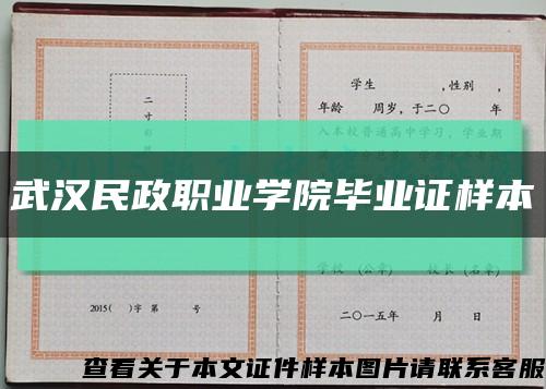 武汉民政职业学院毕业证样本缩略图