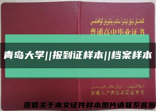 青岛大学||报到证样本||档案样本缩略图