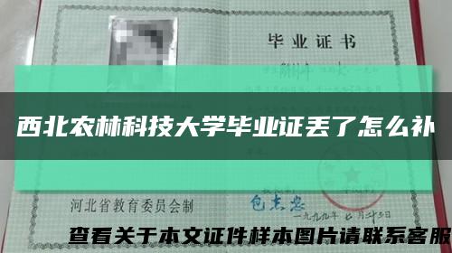 西北农林科技大学毕业证丢了怎么补缩略图