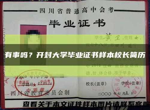 有事吗？开封大学毕业证书样本校长简历缩略图