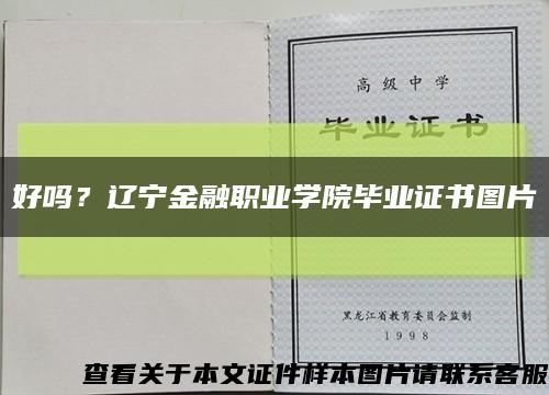 好吗？辽宁金融职业学院毕业证书图片缩略图